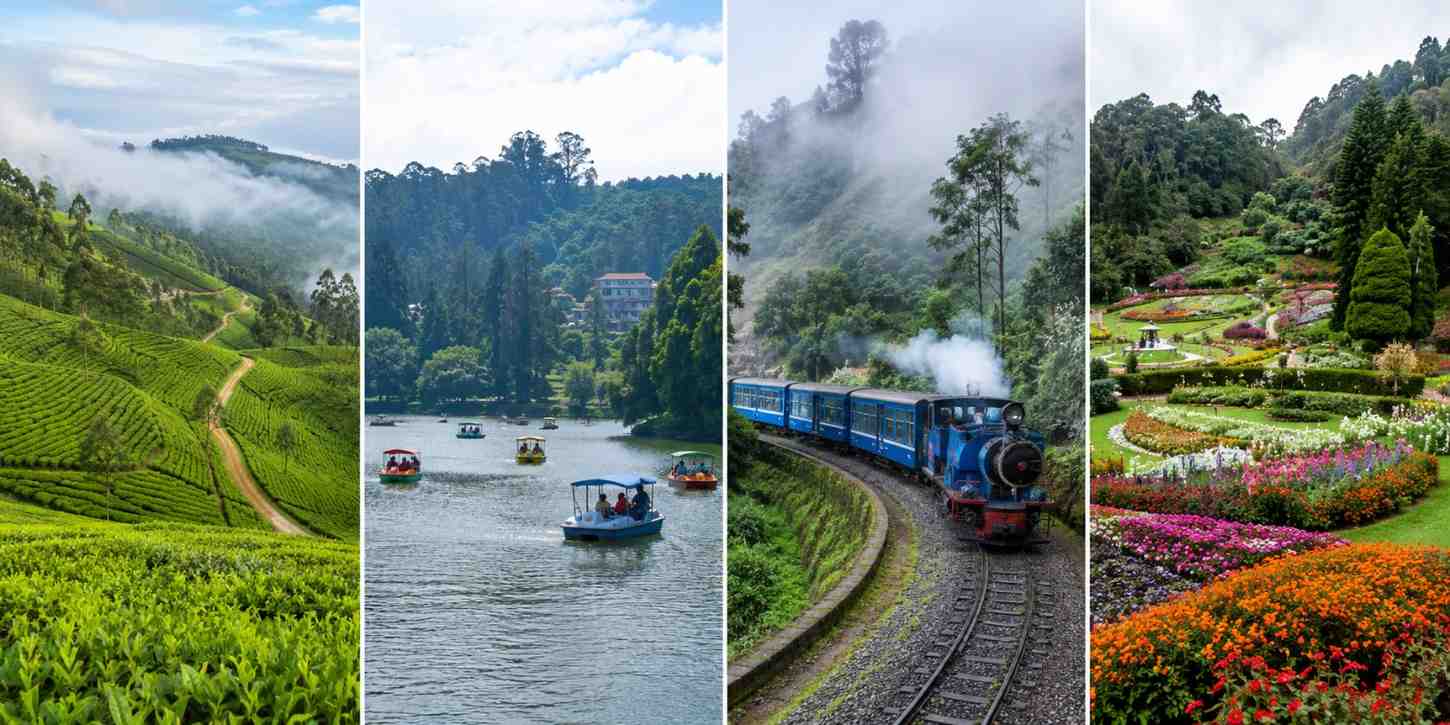 Best Time to Visit Ooty with tea gardens, Ooty Lake, toy train, and botanical garden